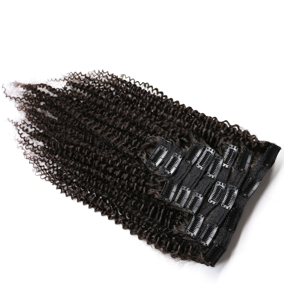 Kinky Curly Clip In Human Hair - đánh giá và giá Seamless Clip In Hair Extensions Human Hair